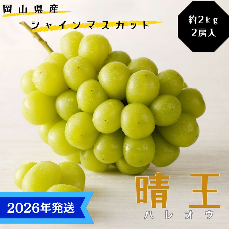 yR˓szy2026Nstz VC}XJbg  Gi  2kg 2[ RY Ԃǂ  uhE Mtg  v[g  j 䋟 ʕ  t[c