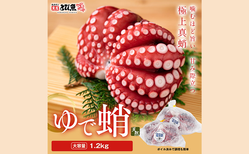【福井県若狭町】茹でまだこ 福井県産 1.2Kg (2〜3杯)タコ ボイル 魚介 魚介類 海鮮 国産 福井県 若狭