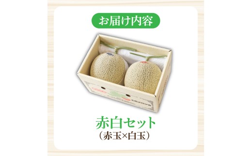 高級土佐アールスメロン2玉入り メロン めろん 赤白セット 赤玉