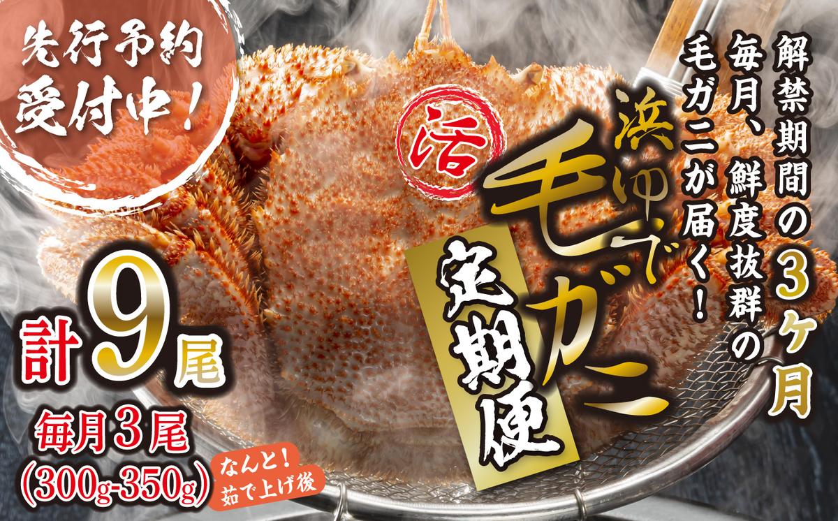 ＜2026年2月上旬から順次発送＞【 定期便 全 3回 】 北海道産 浜ゆで 毛ガニ 3尾 × 3回 （ 計 9尾 ） ＜ 1月20日まで受付 ＞ 毛蟹 毛がに かに味噌 カニ味噌 新鮮 旬 ボイル 浜茹で 海鮮 海産物