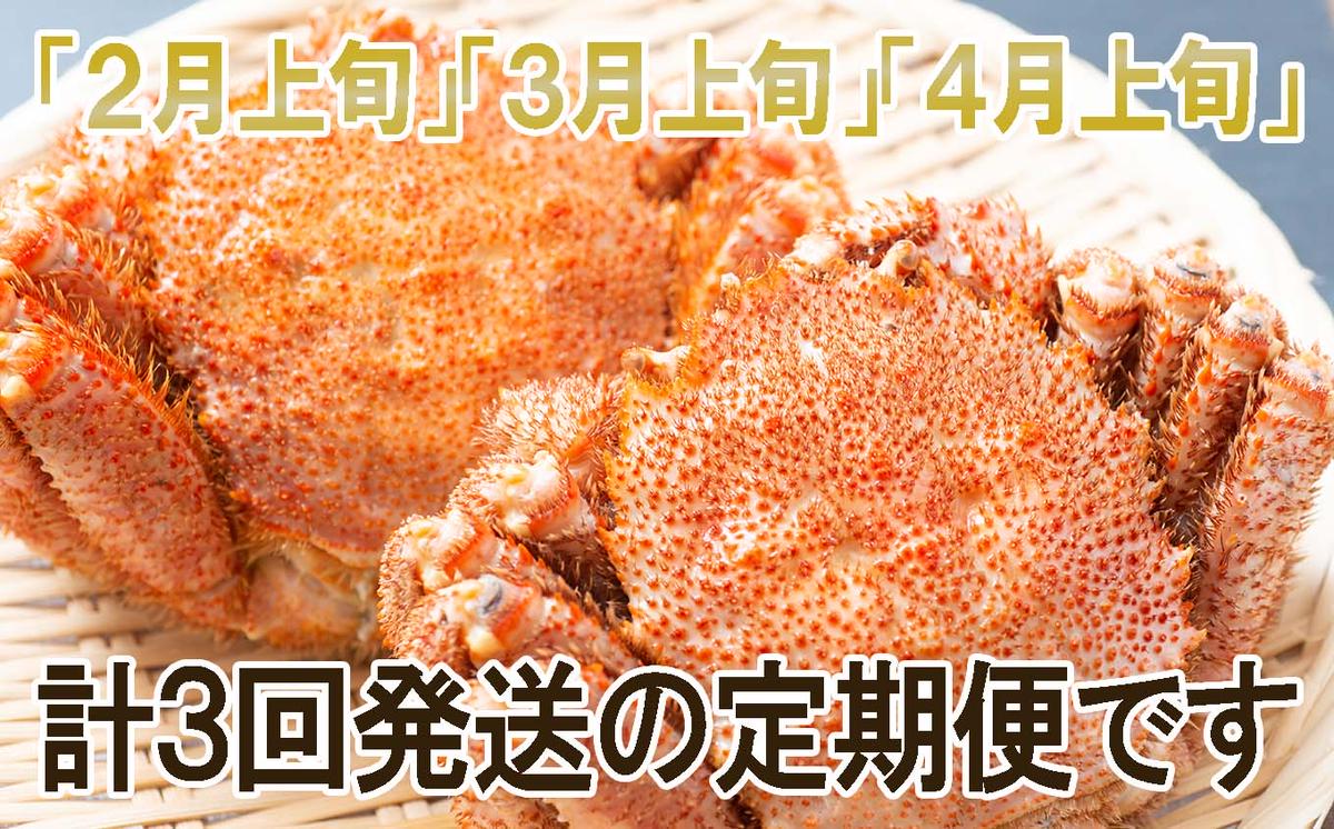 ＜2026年2月上旬から順次発送＞【 定期便 全 3回 】 北海道産 浜ゆで 毛ガニ 3尾 × 3回 （ 計 9尾 ） ＜ 1月20日まで受付 ＞ 毛蟹 毛がに かに味噌 カニ味噌 新鮮 旬 ボイル 浜茹で 海鮮 海産物