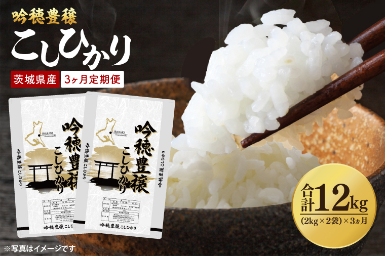 【茨城県大洗町】【先行予約 2025年10月より順次発送】【3ヵ月定期便】 <令和7年産> 新米 吟穂豊穣こしひかり 4kg ( 2kg 2袋 ) ×3ヵ月 精米 コシヒカリ こしひかり 米 ごはん コメ お米 白米 国産 茨城県産