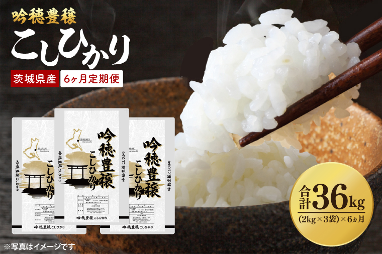 【先行予約 2025年10月より順次発送】【6ヵ月定期便】 ＜令和7年産＞ 新米 吟穂豊穣こしひかり 6kg ( 2kg 3袋 ) ×6ヵ月 精米 コシヒカリ こしひかり 米 ごはん コメ お米 白米 国産 茨城県産