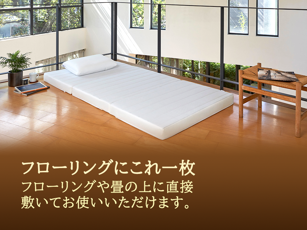 スマートZ01　特別仕様 シングル