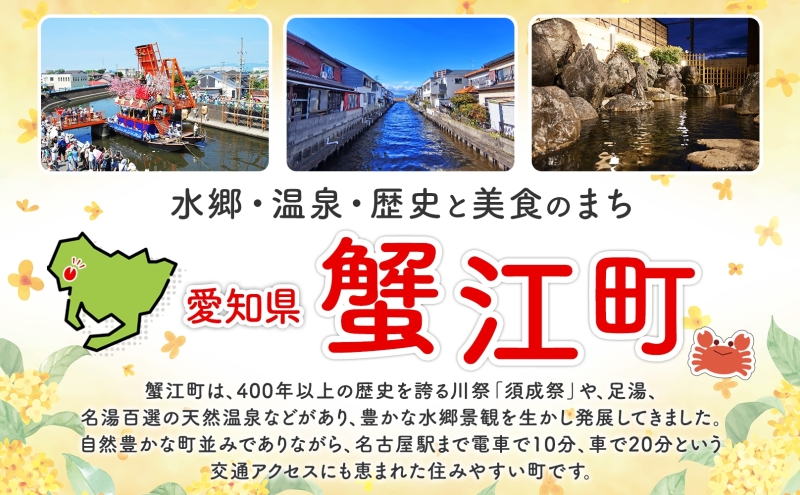 尾張温泉東海センタ−入湯回数券 11枚綴 チケット 回数券 温泉