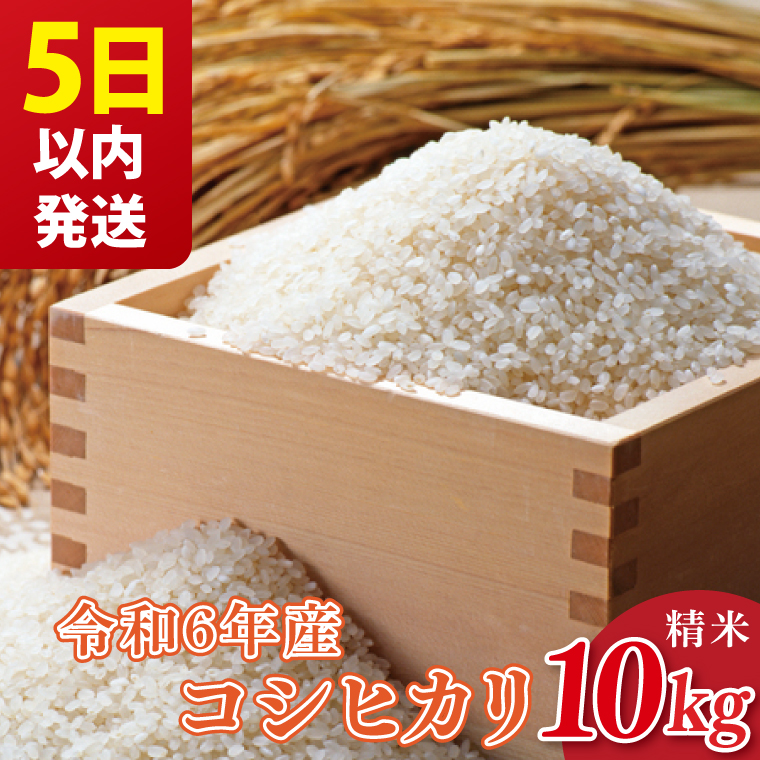令和6年茨城県産コシヒカリ10kg