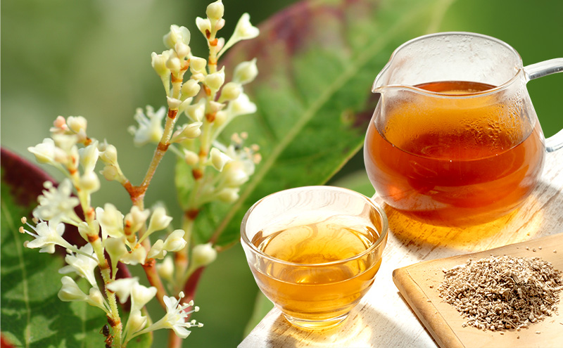 カフェインゼロ イタドリ茶(岩手県宮古産）90g(3g×15パック)×2個セット 煮だし用 ティーバッグ イタドリ 自家焙煎 お茶 茶 ティータイム 天然野草 岩手県 宮古産