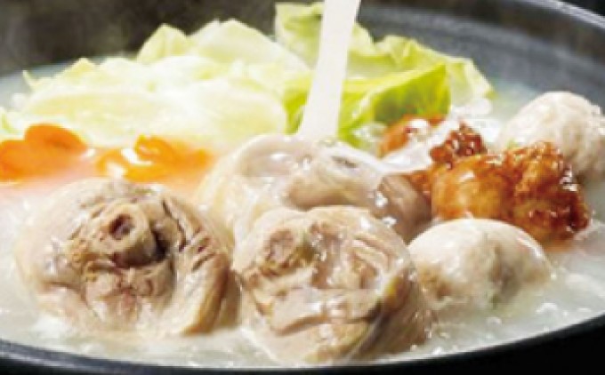 上田商店 ありた鶏 水炊き セット 【5～6人前】追い地どりセット