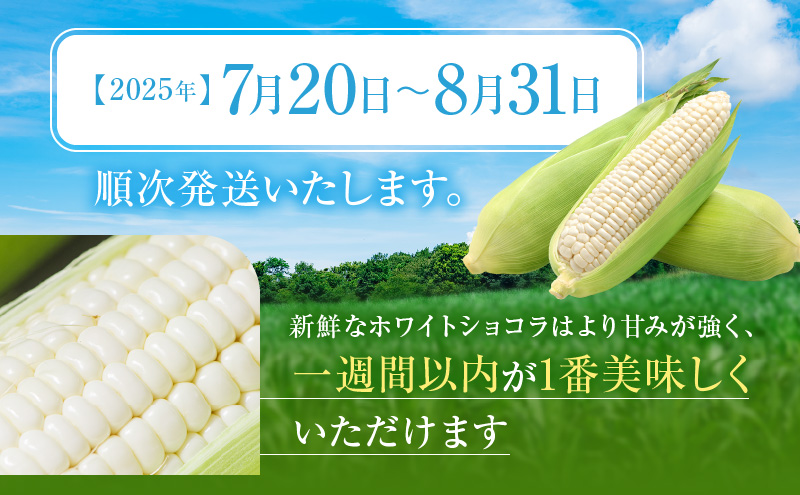 とうもろこしページ2 71Q2+OrMLbL._UF350,350_QL50_.jpg