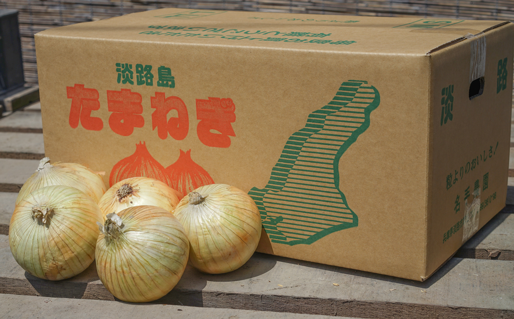 【定期便】名手農園の淡路島特産玉ねぎ10kgの12ヶ月コース　[たまねぎ 玉葱 ]