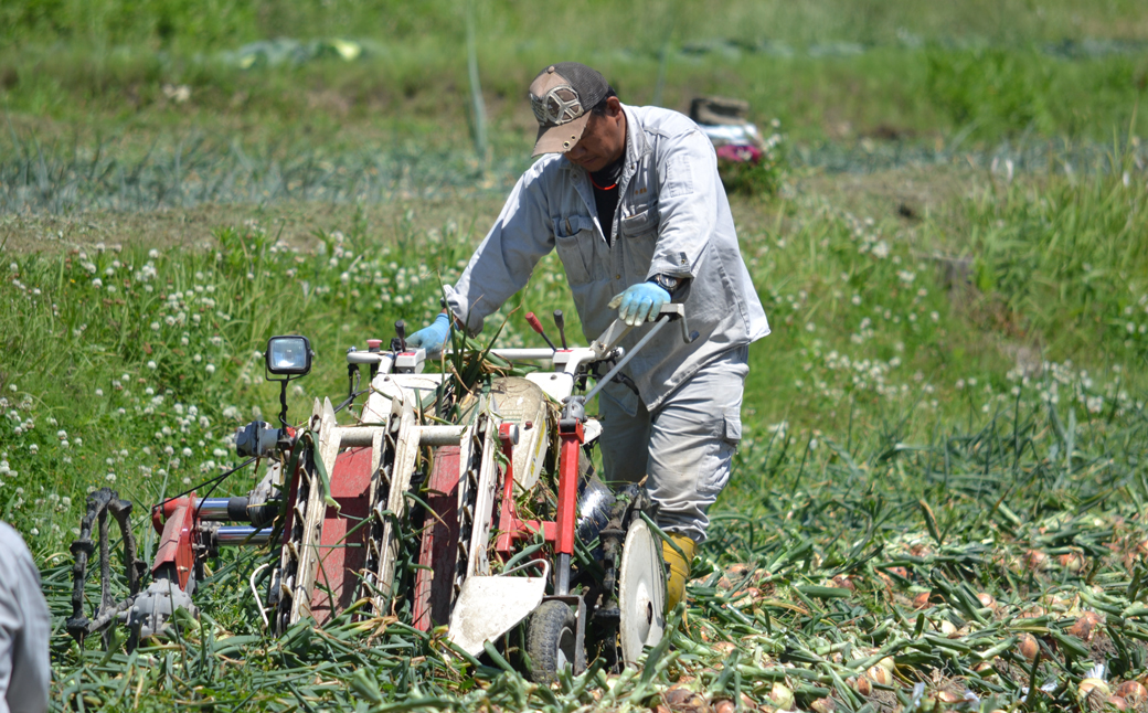 名手農園の淡路島特産季節の農園セット【淡路島産玉ねぎ5kgと季節のみかん3kg】