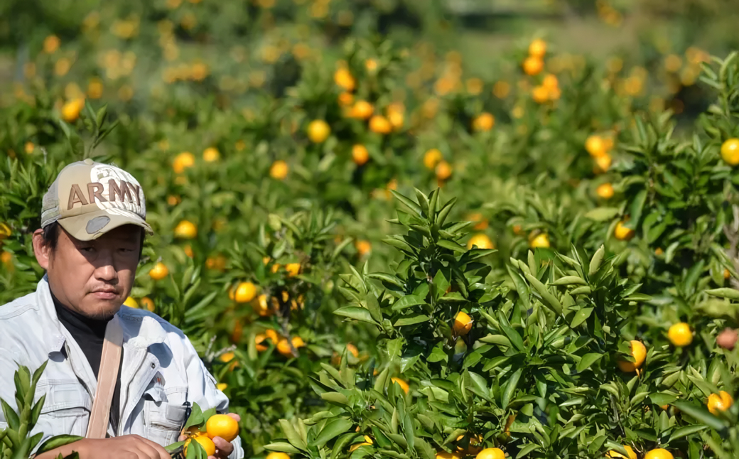 名手農園の淡路島特産季節の農園セット【淡路島産玉ねぎ5kgと季節のみかん3kg】