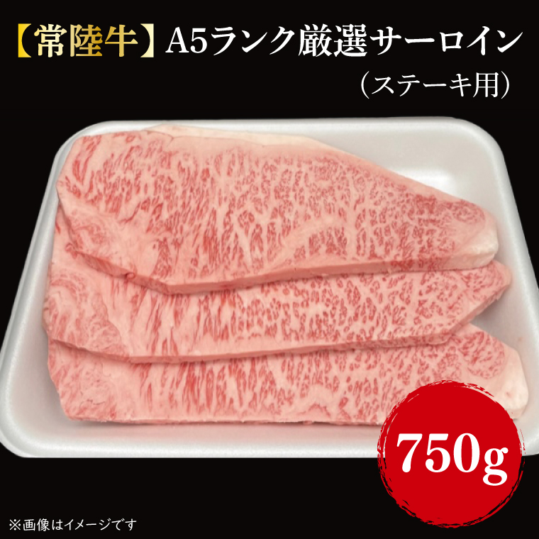 【茨城県行方市】【常陸牛】A5ランク厳選サーロイン(ステーキ用)250g×3|肉 お肉 肉類 サーロイン サーロインステーキ ステーキ バーベキュー BBQ キャンプ 常陸牛 厳選 A5 贅沢 茨城県 行方市(FL-11)