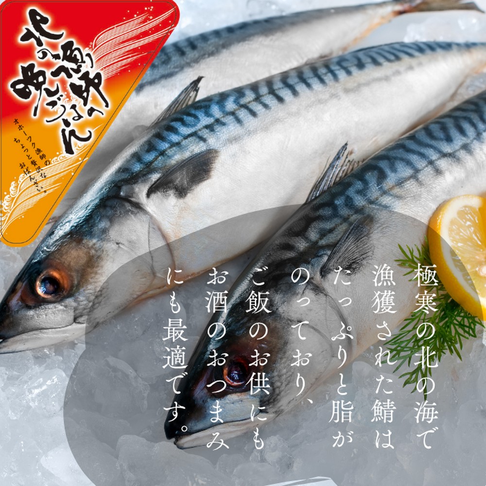 12-236 【年内配送12月15日入金まで】【お手軽調理】炙り塩さば【紋別漁師食堂】 within2025
