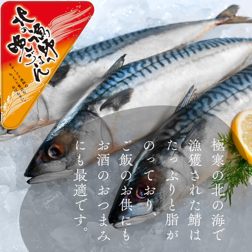 12-237 【年内配送12月15日入金まで】【お手軽調理】さばの味噌煮【紋別漁師食堂】 within2025