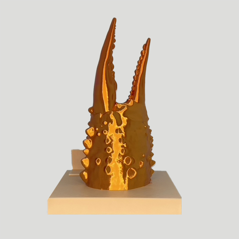 34-23 【年内配送12月15日入金まで】カニの爪オブジェ（大型）ケース付き within2025