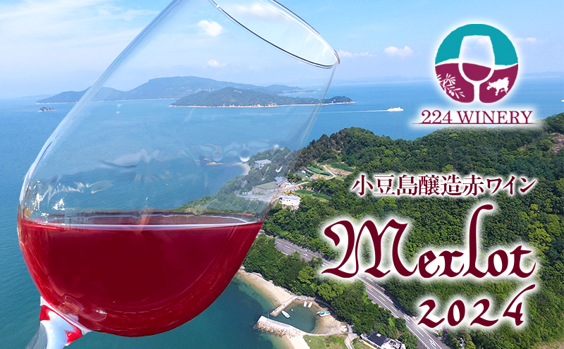 y쌧yz [ 2024 720ml  ԃC {C ϔ   C n 蕨 Mtg Y  쌧 y y