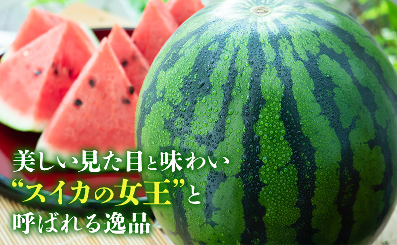 【2026年8月より順次発送】ふらの山部の超大玉絶品スイカ『マドンナスイカ』 3L～4L 1玉（坂口農産）マドンナ 富良野 北海道産 甘い 糖度 フルーツ 果物 お取り寄せ 夏ギフト おすすめ 人気ランキング