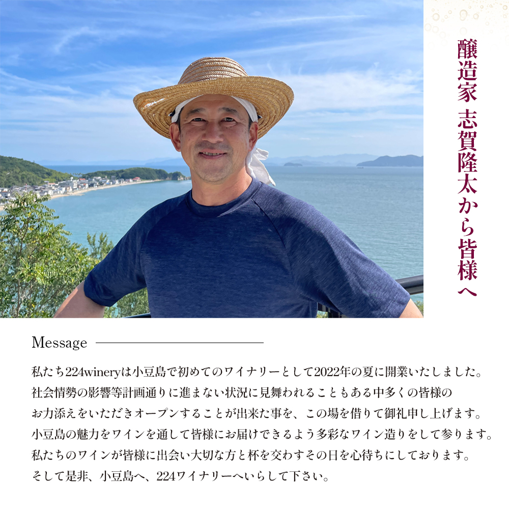 島醸造 木樽熟成メルロー 2024 720ml 小豆島醸造 赤ワイン 日本ワイン 化粧箱入り お酒 酒 ワイン 熟成 贈り物 ギフト 国産 香川 香川県 土庄 土庄町