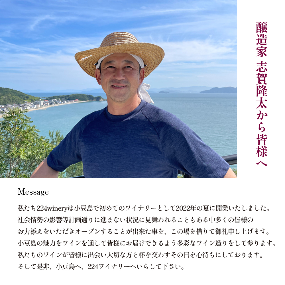 シードル スイート 2025 720ml 小豆島醸造 ふじりんご100%のお酒 甘口シードル 日本ワイン 化粧箱入り お酒 酒 ワイン りんご 熟成 贈り物 ギフト 国産 香川 香川県 土庄 土庄町