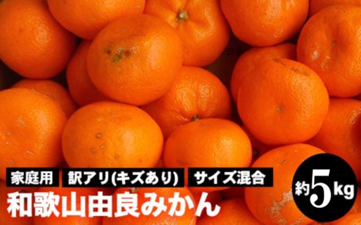 和歌山由良みかん 約5kg 訳あり キズ 御家庭用 サイズ混合｜みかん ミカン 和歌山 由良 おまかせ フルーツ 果物 柑橘 和歌山県産 お取り寄せ ふるさと納税 返礼品 ※2025年11月下旬～2026年1月中旬頃に順次発送予定 ※北海道・沖縄・離島への配送不可