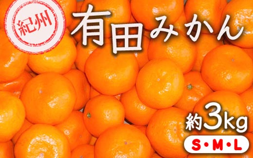 紀州有田みかん 約3kg サイズ (L・М・S) ｜みかん ミカン 和歌山 由良 フルーツ 果物 柑橘 和歌山県産 お取り寄せ 人気 ※2025年11月下旬～2026年1月中旬頃に順次発送予定