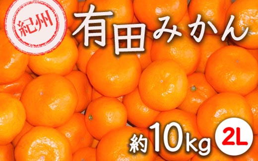 紀州有田みかん 約10kg サイズ (2L) ｜みかん ミカン 和歌山 由良 フルーツ 果物 柑橘 和歌山県産 お取り寄せ 人気 ※2025年11月下旬～2026年1月中旬頃に順次発送予定