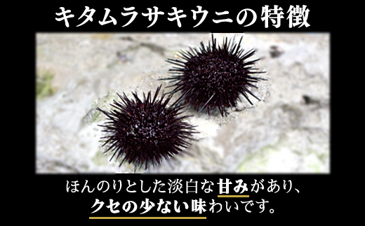 北海道のウニだけで作った甘塩うに 120g (60g×2) キタムラサキウニ