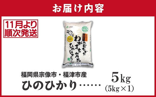 福岡県福津市のふるさと納税 【令和7年産米】【2025年11月より順次発送】JAよりお届け！「ひのひかり」 5kg（5kg×1袋）[G2314a]