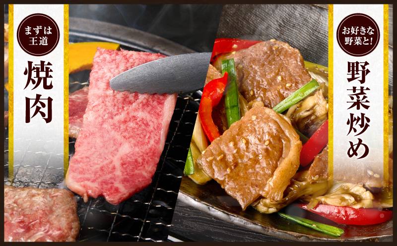 宮崎県日南市のふるさと納税 数量限定 宮崎牛 霜降り 焼肉 計1kg 肉質等級4等級以上 牛肉 黒毛和牛 国産 食品 おかず 最高級 ブランド牛 焼き肉 BBQ バーベキュー キャンプ 人気 おすすめ 記念日 贈り物 お取り寄せ ミヤチク 宮崎県 日南市 送料無料_D112-25