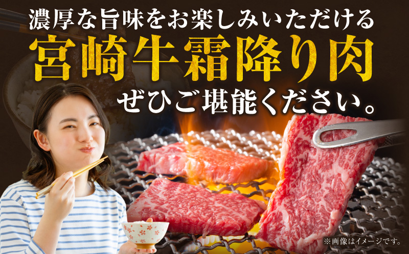 宮崎県日南市のふるさと納税 数量限定 宮崎牛 霜降り 焼肉 計1kg 肉質等級4等級以上 牛肉 黒毛和牛 国産 食品 おかず 最高級 ブランド牛 焼き肉 BBQ バーベキュー キャンプ 人気 おすすめ 記念日 贈り物 お取り寄せ ミヤチク 宮崎県 日南市 送料無料_D112-25