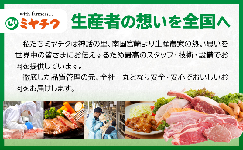 宮崎県日南市のふるさと納税 数量限定 宮崎牛 霜降り 焼肉 計1kg 肉質等級4等級以上 牛肉 黒毛和牛 国産 食品 おかず 最高級 ブランド牛 焼き肉 BBQ バーベキュー キャンプ 人気 おすすめ 記念日 贈り物 お取り寄せ ミヤチク 宮崎県 日南市 送料無料_D112-25