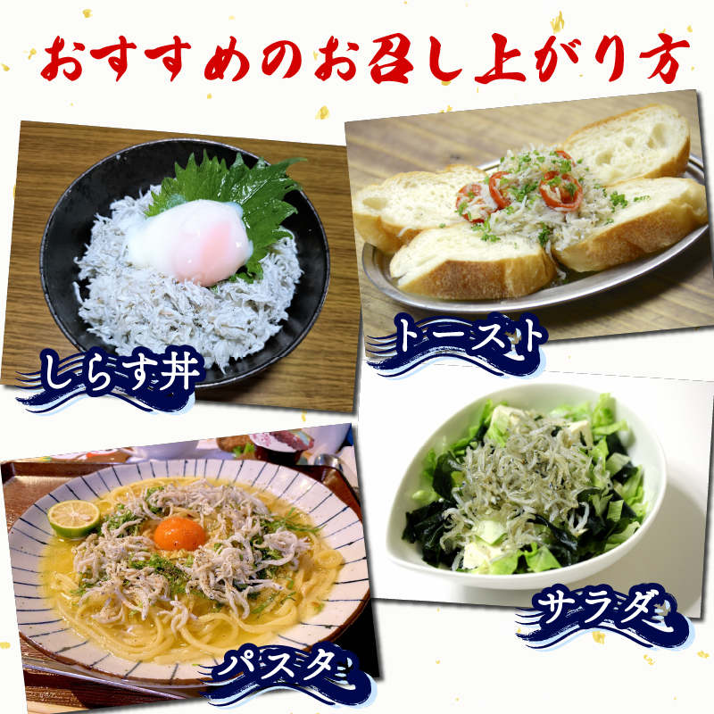 篠島 しらす干し 約500g