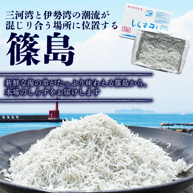 篠島 しらす干し 約1kg