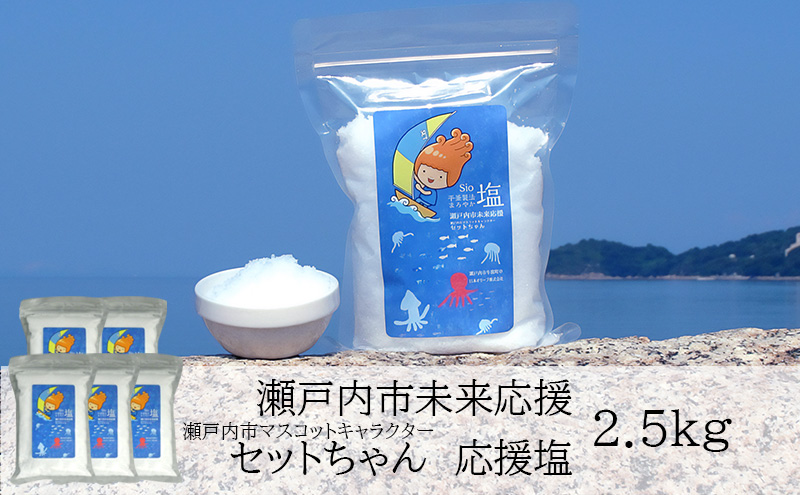 【岡山県瀬戸内市】セットちゃん 応援塩 2.5kg(500g×5袋) 塩 フレーク塩 粗塩 調味料 岡山 瀬戸内市