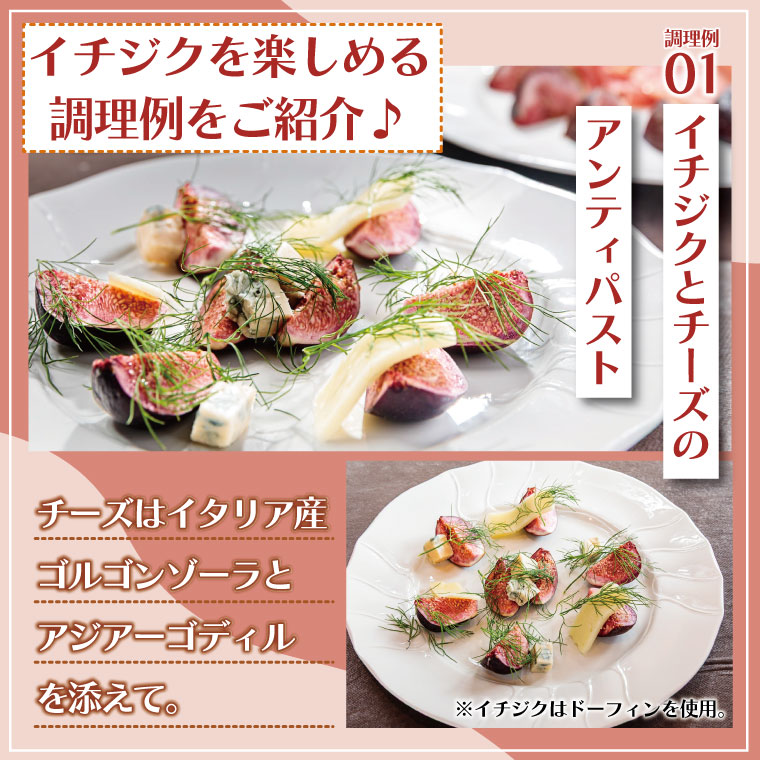 イチジク苗木7号ポット（バナーネ）【苗木 観葉 植物 いちじく 自宅 ポット茨城県 鹿嶋市】（KAE-10）