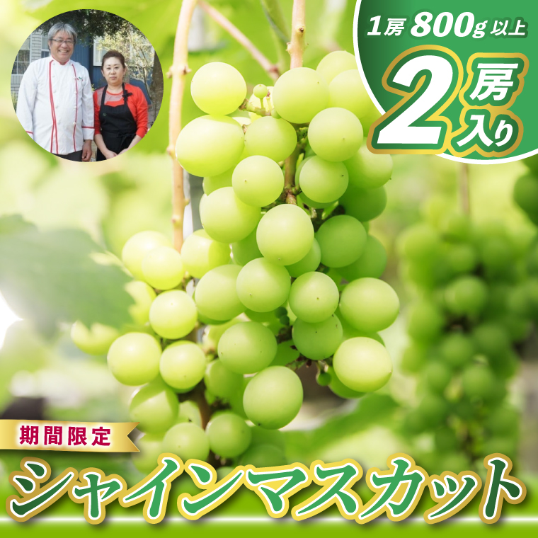 レストランのプロが育てる！鹿嶋市産 シャインマスカット 2房 (大粒800g以上/房) ＜皮ごと食べられる極上ぶどう＞(KAE-15)
