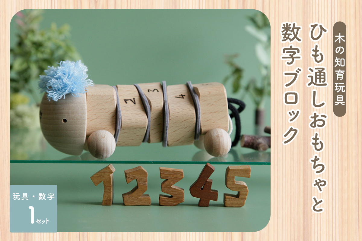 ひも通しおもちゃ・数字ブロック 003-24