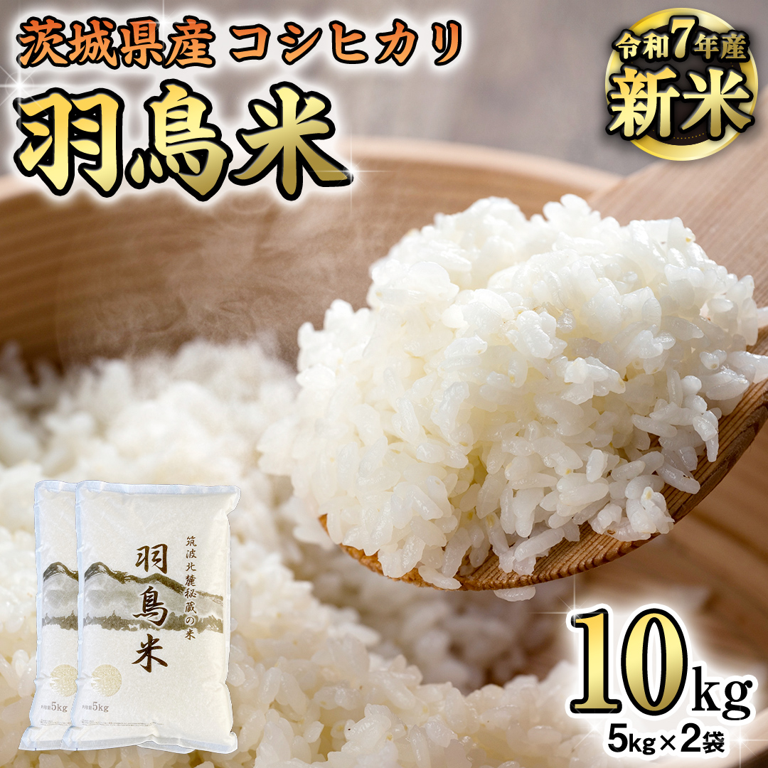《 令和7年産 先行予約 》 コシヒカリ 