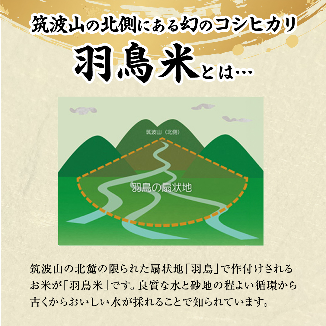 茨城県桜川市のふるさと納税 《 令和7年産 先行予約 》 コシヒカリ 「幻の米 羽鳥米」 10kg (5kg × 2袋) 筑波北麓秘蔵米 お米 ごはん 精米 コメ 白米 国産 茨城県 桜川市 限定 期間限定 数量限定 銘柄米 [AX003sa]