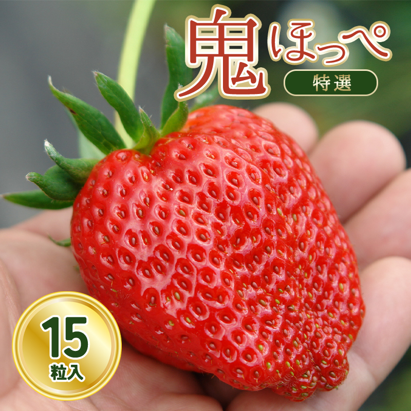 道の駅萩往還の名物イチゴ/「鬼ほっぺ(登録商標)」 特選 15粒入 |HG000398
