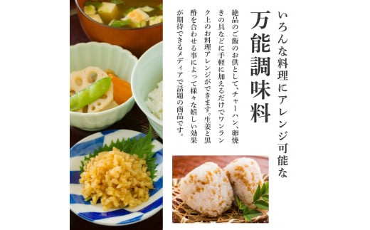 味付け極しょうが110g×5袋 - しょうが ショウガ 生姜 生ふりかけ 坂田信夫商店 黄金しょうが 高知 国産 料理 おかず 調味料 ご飯のお供 混ぜご飯 刻み生姜 話題