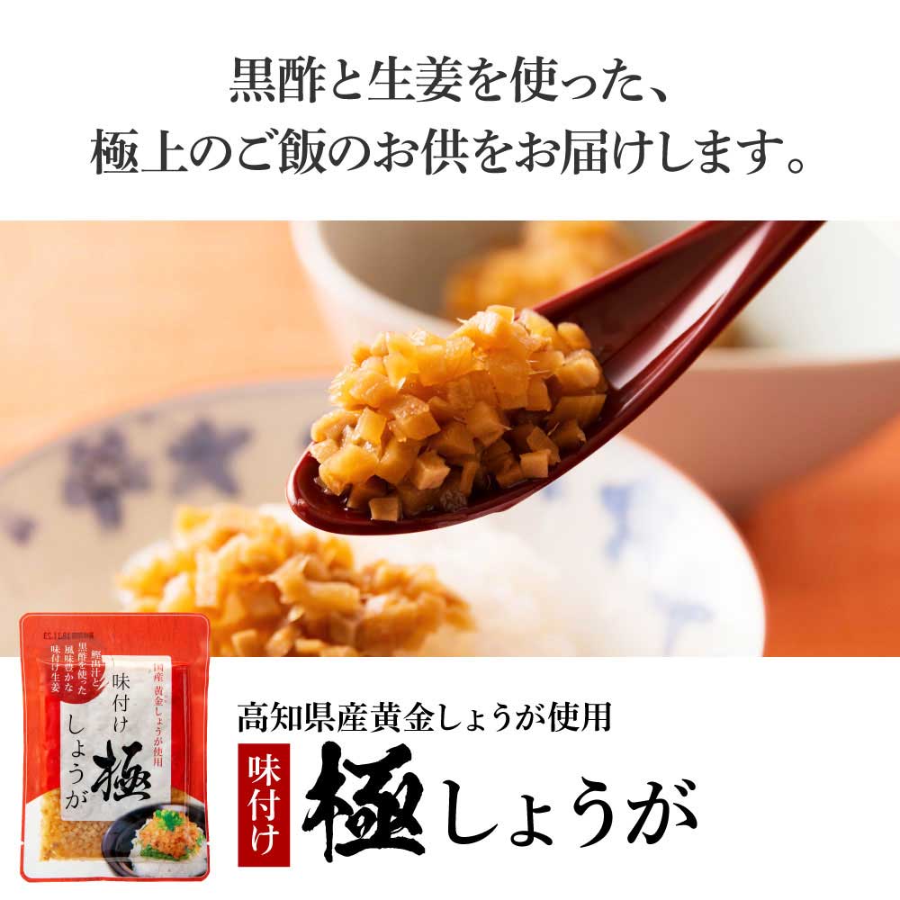 味付け極しょうが110g×5袋 - しょうが ショウガ 生姜 生ふりかけ 坂田信夫商店 黄金しょうが 高知 国産 料理 おかず 調味料 ご飯のお供 混ぜご飯 刻み生姜 話題