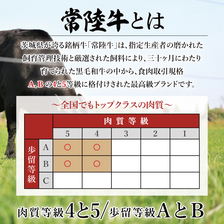 【数量限定】【最短7日発送】黒毛和牛 常陸牛 大トロカルビ(約100g) 上赤身肉(約100g)セット｜肉 牛肉 和牛 国産 茨城県産 すぐ 届く(HI-1)