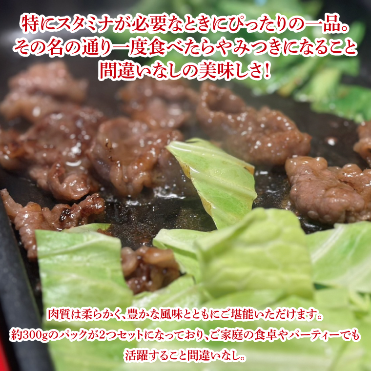 【数量限定】【最短7日発送】黒毛和牛 常陸牛 やみつきスタミナ焼 約300g×2パック｜肉 牛肉 和牛 国産 茨城県産 すぐ 届く(HI-2)