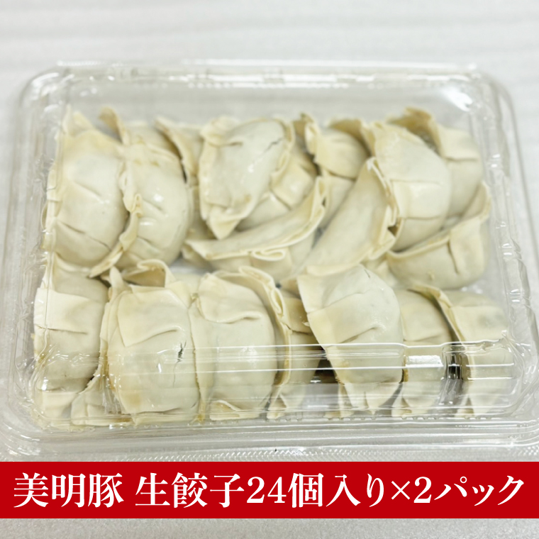 【数量限定】【最短7日発送】ブランド豚 肉屋が作る 美明豚 生餃子 24個入り×2パック 肉 豚肉  国産 茨城県産 すぐ 届く(HI-5)