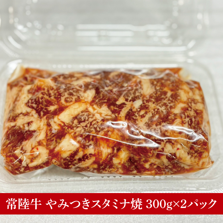 【数量限定】【最短7日発送】たっぷり大満足！牛肉＆豚肉バラエティセット｜肉 お肉 牛肉 豚肉 黒毛和牛 カルビ 赤身 焼肉 すき焼き たっぷり やみつき ステーキ スタミナ サーロイン サーロインステーキ ハンバーグ 餃子 数量限定 限定 人気 送料無料(HI-8)