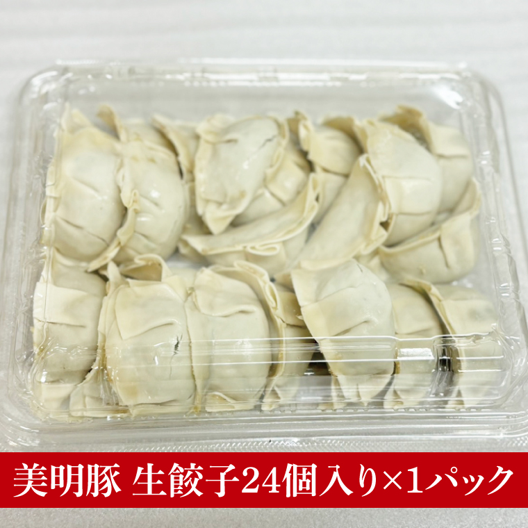 【数量限定】【最短7日発送】たっぷり大満足！牛肉＆豚肉バラエティセット｜肉 お肉 牛肉 豚肉 黒毛和牛 カルビ 赤身 焼肉 すき焼き たっぷり やみつき ステーキ スタミナ サーロイン サーロインステーキ ハンバーグ 餃子 数量限定 限定 人気 送料無料(HI-8)