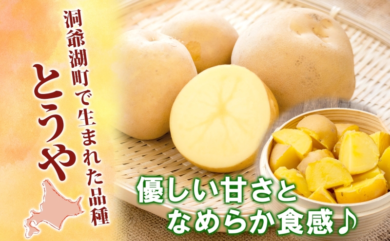 じゃがいも とうや 10kg 2025年9月上旬～12月中旬までお届け ジャガイモ 芋 甘い ホクホク なめらか ポテト カレー 調理 料理 煮込み料理 旬 野菜 お取り寄せ 北海道 洞爺湖町