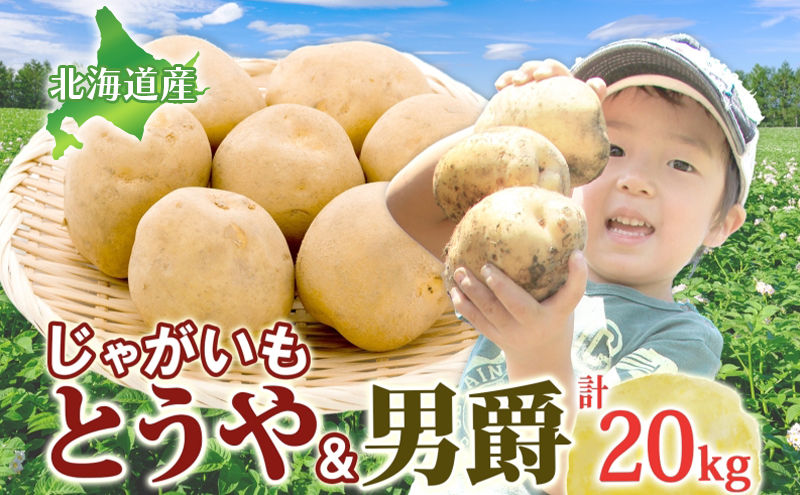 じゃがいも2種セット 計20kg とうや 男爵 2025年9月上旬〜12月中旬までお届け ジャガイモ 芋 甘い ホクホク ポテト カレー 調理 料理 煮込み料理 旬 野菜 お取り寄せ 北海道 洞爺湖町